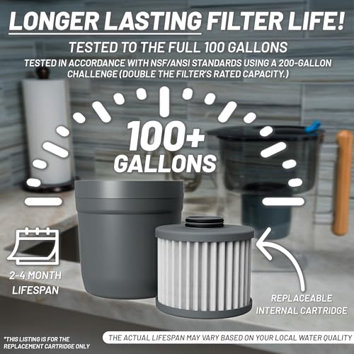 Epic Nano XP Water Filter Cartridge - Removes 70+ Contaminants, 100 Gallon Capacity, Made in USA