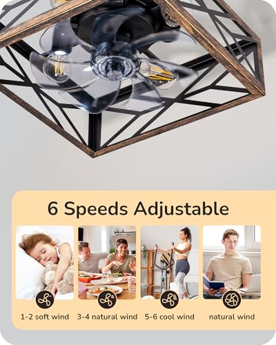 EDISHINE 20-Inch Rustic Cage Ceiling Fan with Lights and Remote - Gold