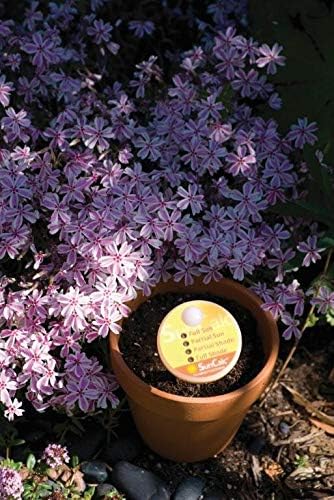 Luster Leaf SunCalc Sunlight Calculator - Accurate Garden Light Measurement for Full Sun, Partial Sun, Shade