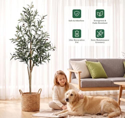 6FT Artificial Olive Tree with Natural Wood Trunk - Indoor Faux Greenery