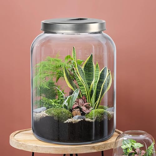Daitouge 5.5 Gallon Large Glass Storage Jar with Lid, 21000ml, 1 Pack