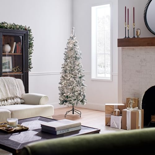 6ft Pre-Lit Flocked Acacia Artificial Christmas Tree - National Tree Company