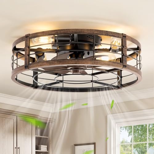 20-Inch Caged Low Profile Ceiling Fan with Light & Remote - Black & Gold
