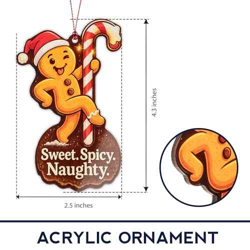 Funny christmas ornaments - Funny gag gifts - Santa ornament - White elephant ornament - raunchy - unique christmas ornaments - Suncatcher Effect stained glass window hanging - car hanging accessories