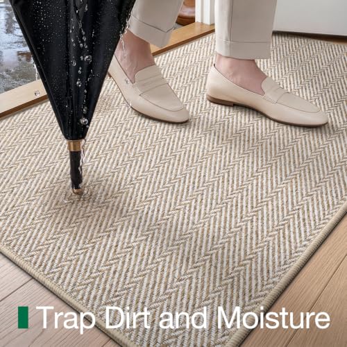 LUMI Ultra Thin Indoor Door Mat 48x72 Inches Beige - Non-Slip, Pet Friendly