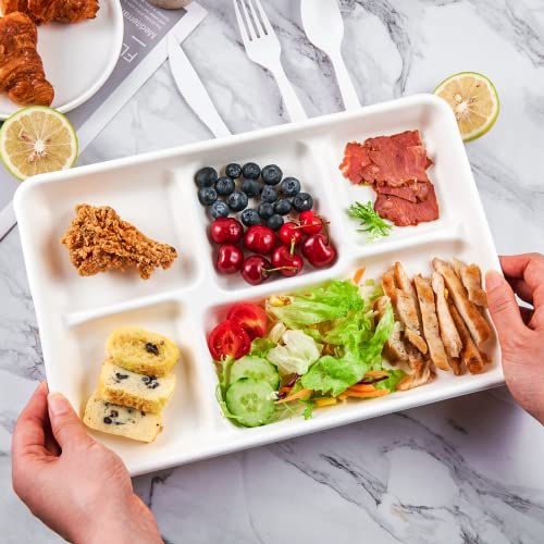 ECOLipak 12.5 x 8.6 Inch Compostable 5-Compartment Paper Plates 100 Pack