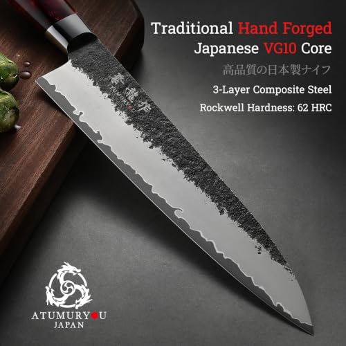 8.27 Inch Japanese Gyuto Chef Knife - Black Forged VG10 Steel, Hand-Sharpened