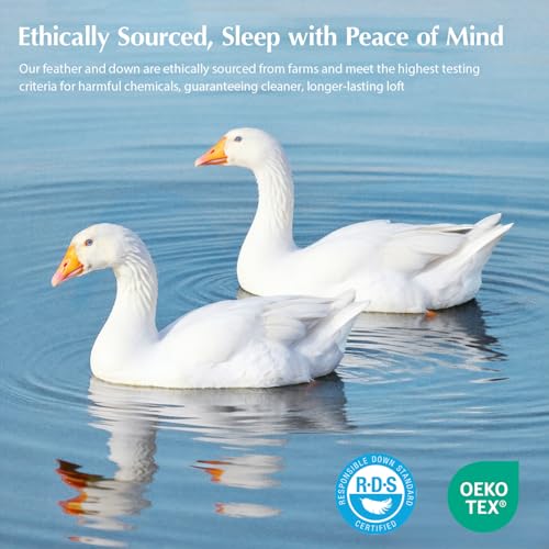 Pacific Coast White Twin Size Goose Feather Down Fiber Comforter Summer Duvet Insert, Ultra Soft & Breathable