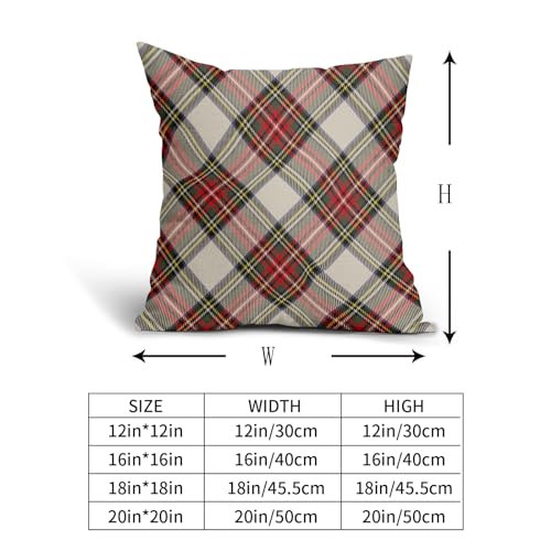 Aytipun 18x18 Inch Christmas Plaid Pillow Covers Set of 2 - Red Green Blue Buffalo Check Farmhouse Holiday Decor, Beige Variation