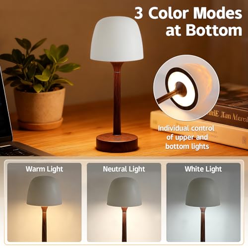 Walnut Finish Waterproof Shower Light with 16 Color Projection and Remote Control