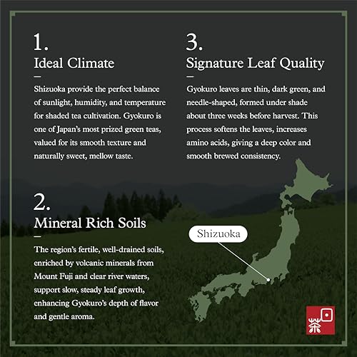 Organic Gyokuro Green Tea - Shade Grown Japanese Loose Leaf Tea 100g