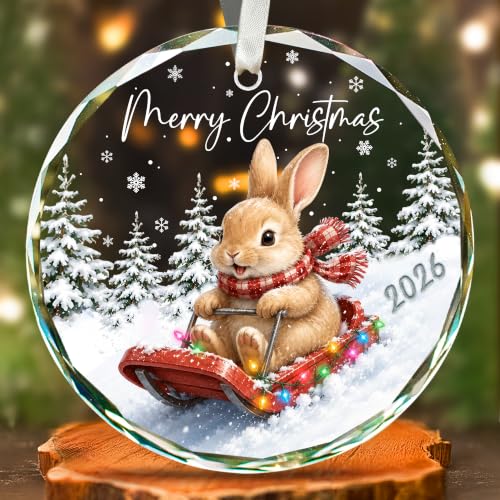 KATLADIZ Bunny Ornament 2026 - One-Sided Bunny Christmas Ornament with Navy Gift Box