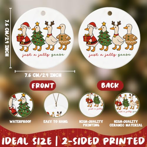 Silly Goose Christmas Ornament - Ceramic Double-Sided Hanging Decoration, 3in - Variation: Silly Goose Christmas