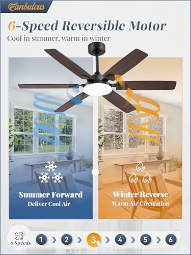 Black 52 Inch Ceiling Fan with Lights Remote Control & 2 Downrods