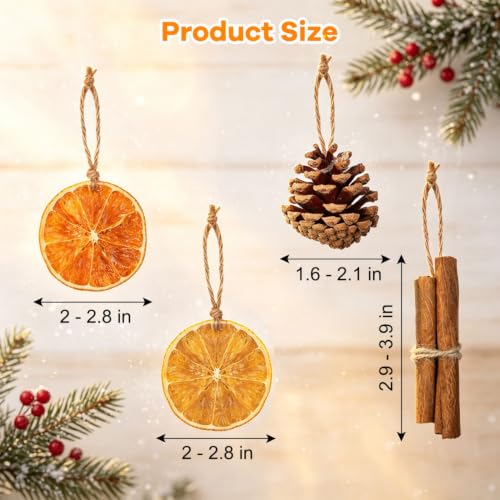 Christmas Dried Orange Slices Pine Cones Cinnamon Sticks Craft Set - 50 Pack
