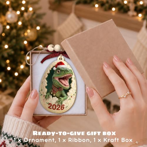 TEEBIM 04 Dinosaur Ornament 2026 – Dinosaur Christmas Ornament for Boys, Gift Box & Twine