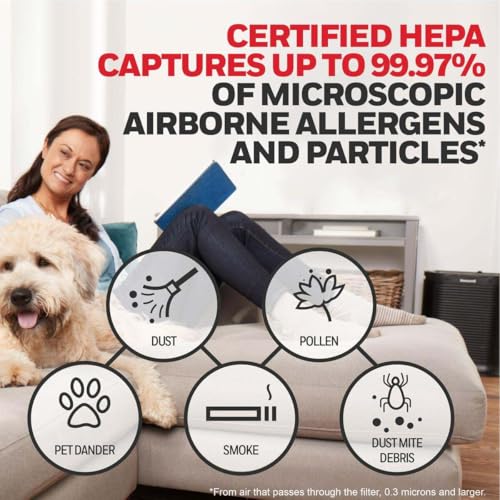 Honeywell HEPA Air Purifier Filter R 2-Pack for HPA 100/200/300 Series