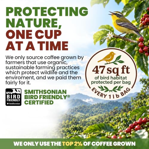 Low Acid Organic Colombian Whole Bean Coffee 16oz Pack of 2 – USDA Certified, Fresh Ground for French Press, Drip & Espresso