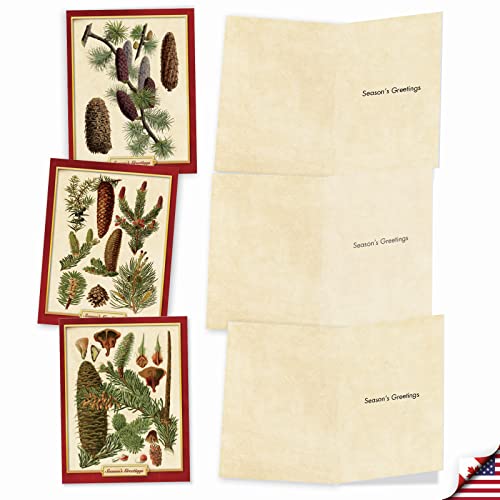 Best Card Co 10 Merry Christmas Boxed Cards Pinecone Pining for Christmas
