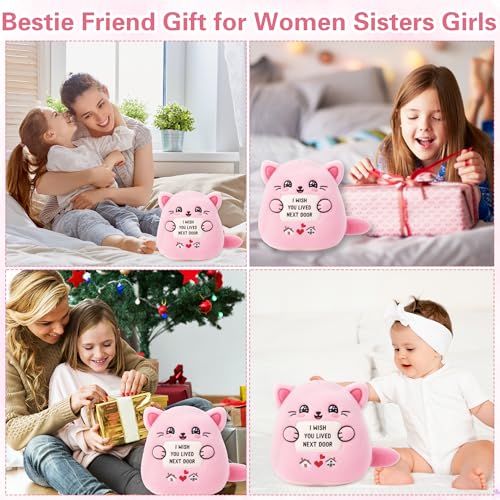 Friendship Plush Cat Stuffed Animal for Women Bestie Birthday Gift for Sister Girlfriend I Wish You Lived Next Door Plush Toy Pillow 9 Inch