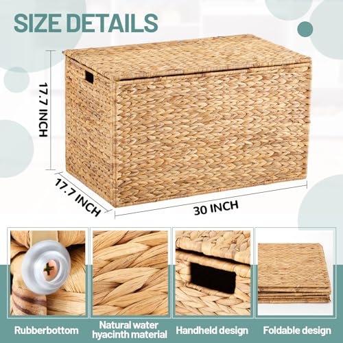 Water Hyacinth Storage Trunk - Large Wicker Chest for Home Organization