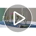 48pcs Glass Cylinder Vases Set - 4, 5, 6 Inch Clear Flower & Candle Holders with Variation 4+4+5+6 Inch