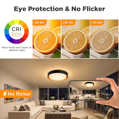 Matte Black 2-Pack Flush Mount LED Ceiling Lights - Dimmable 13in 3000K Daylight, Energy-Efficient Modern Lamp