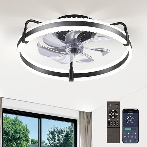 Crazypai 20'' Black Dimmable Ceiling Fan with Lights, Remote & App Control