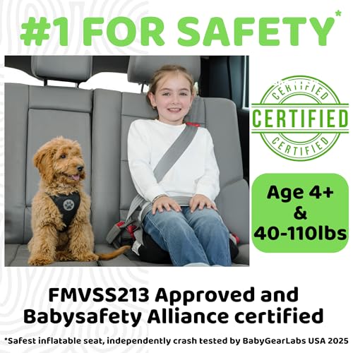Inflatable Booster Car Seat for Kids Pink Chevron - Travel & Safety
