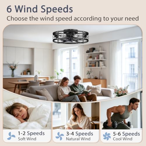20-Inch Black Caged Ceiling Fan with Light and Remote - Farmhouse Low Profile
