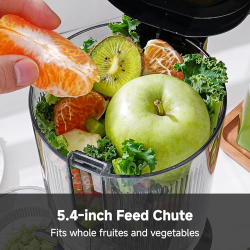 Cold Press Juicer with 5.4-Inch Wide Chute - Silver, Self-Feeding Slow Juicer