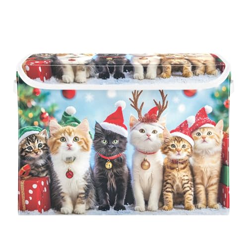 senya Christmas Baskets Collapsible Storage Bins with Lids, Cat A