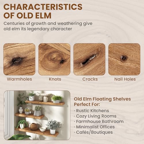 Natural Elm Wood Floating Shelves - Live Edge Wall Mount 24" 2 Pack