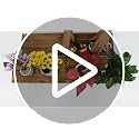 Large Wooden Display Risers Set - 2 Pack 2-Tier Cupcake & Dessert Stands, Rustic Brown