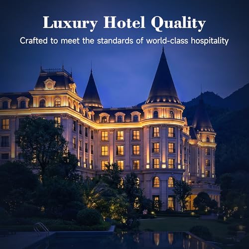 Queen Size Down & Support Hybrid Hotel Pillows Set of 2