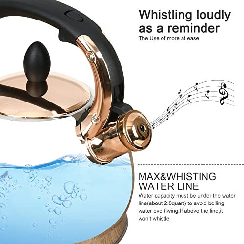 3 Quart Stainless Steel Whistling Tea Kettle with Metal Bottom - Silver
