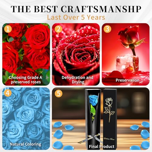 Light Blue Single Forever Rose Gift for Women & Men, Romantic Floral Bouquet
