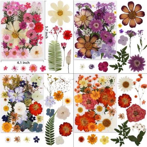 420 Pcs Dried Pressed Flowers for Resin Crafts - Assorted Natural Flowers Set - Variation of THIS listing