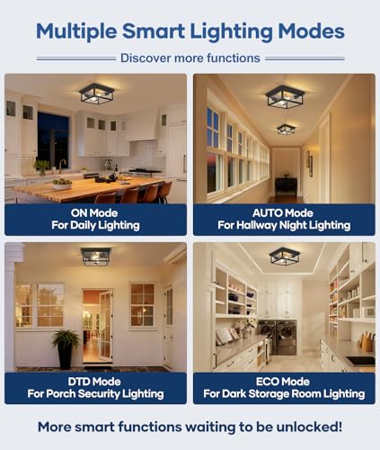 Black 12.2 Inch Motion Sensor Outdoor Ceiling Light with Remote - Porch, Garage, Patio