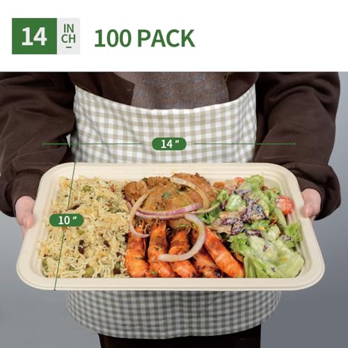 AICHEF 14x10 Inch Disposable Food Trays Pack of 100 - Heavy Duty, Eco-Friendly, Party & Catering Use