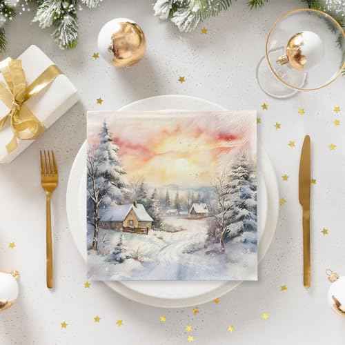 Winter Wonderland Decorations-40pcs Winter Wonderland Napkins Christmas Snow House Paper Napkins, Winter Landscape Villa Snow House Scene Paper Napkins for Xmas Holiday Party Supplies