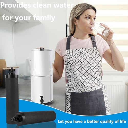 SUPER.BDACC Black 10 Inch Replacement Water Filter for Berkey BB9-2 Gravity System