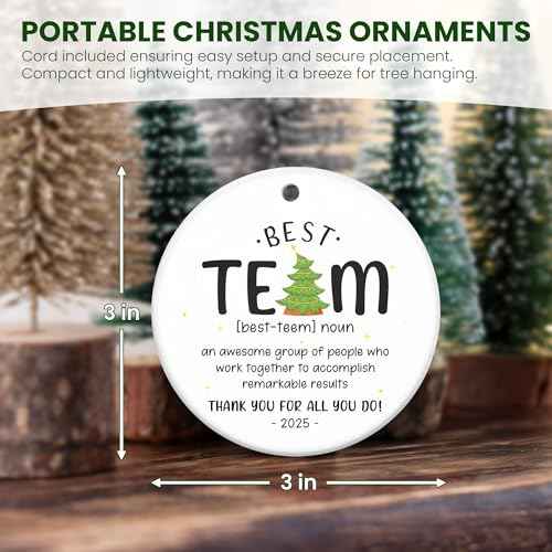 TEEZWONDER Best Team Ever Gifts - Ceramic Christmas Ornaments 2025 with Card for Christmas Tree Decorations - Office Group Gifts for Coworkers Employees Friends, Appreciation Thank You Gift Ideas