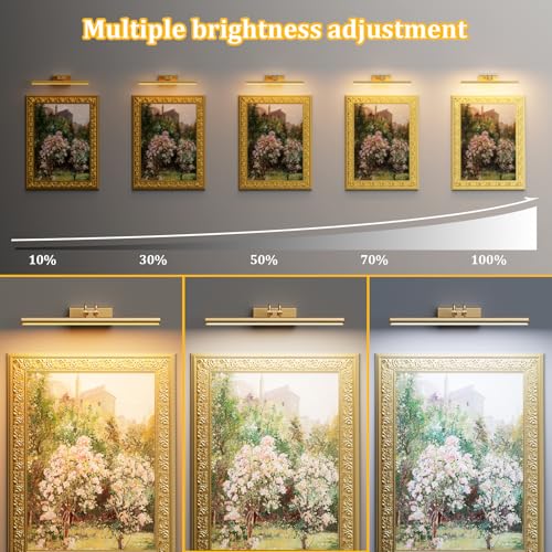 Picture Light for Wall Set of 2, Gold
