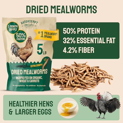 5lb Dried Mealworms for Chickens & Wild Birds - Whole Crispy Bird Food