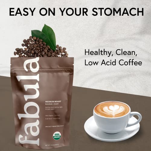 Low Acid Organic Coffee Beans Medium Roast - Whole, 12 oz - Single Origin