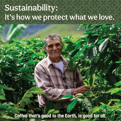 Don Francisco's Vanilla Nut Ground Coffee Can Pack of 3, 10 oz Each - Medium Roast, Arabica Blend