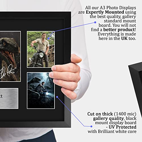 16x12in Chris Pratt Jurassic World Owen Grady Signed Photo – Framed 16" x 12" Movie Memorabilia