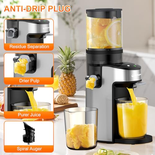 Cold Press Juicer Machine 400W with Wide Feed Chute - Silver Gray