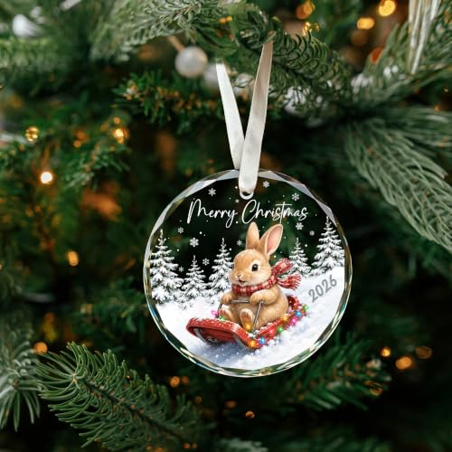 KATLADIZ Bunny Ornament 2026 - One-Sided Bunny Christmas Ornament with Navy Gift Box